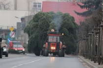 Urzd Miejski w Wolsztynie