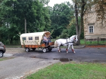 Urzd Miejski w Wolsztynie