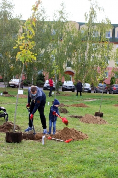 Urzd Miejski w Wolsztynie