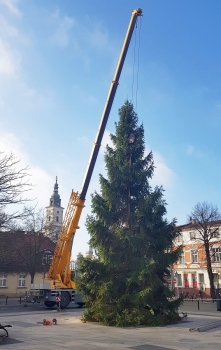 Urzd Miejski w Wolsztynie